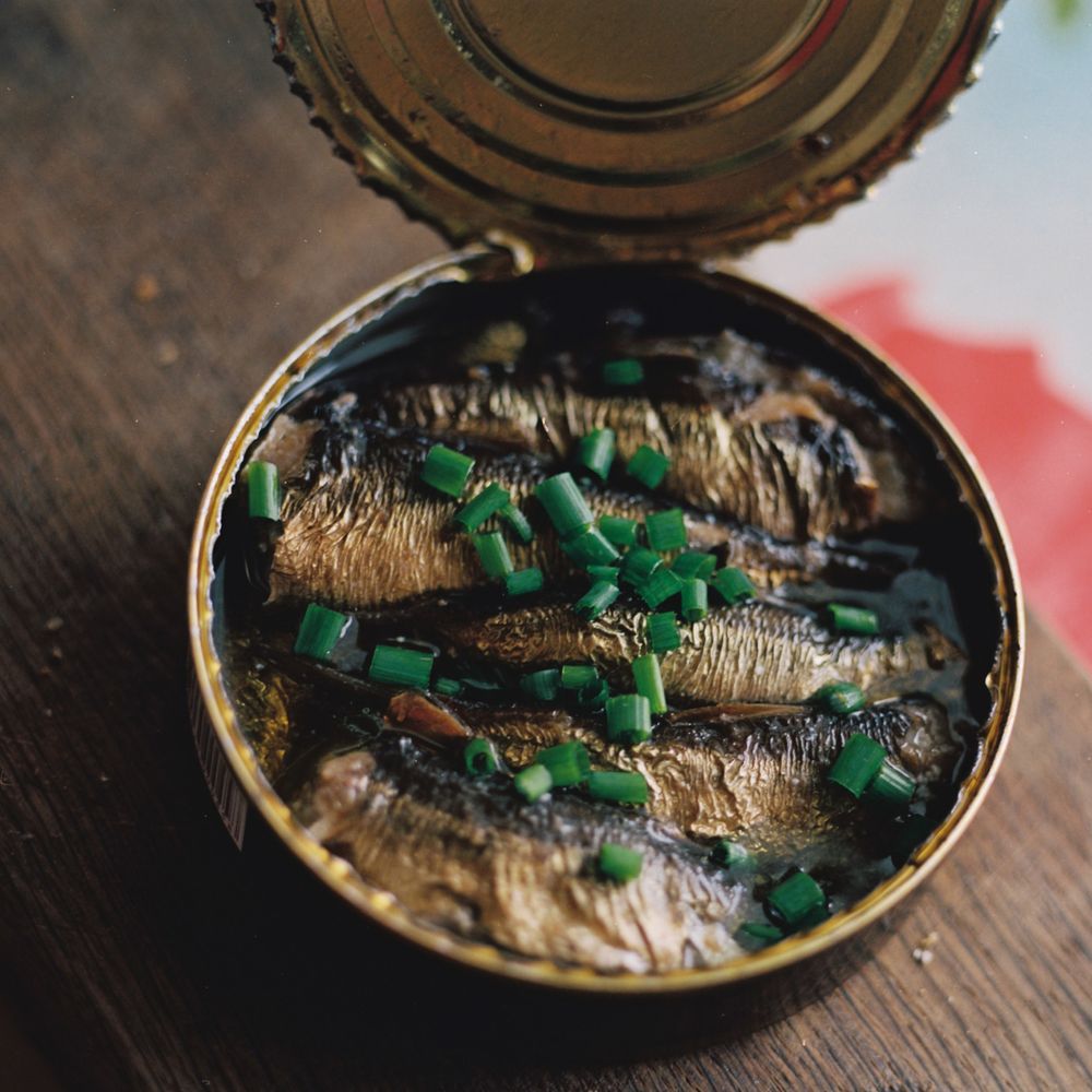 Tin balm with spatula