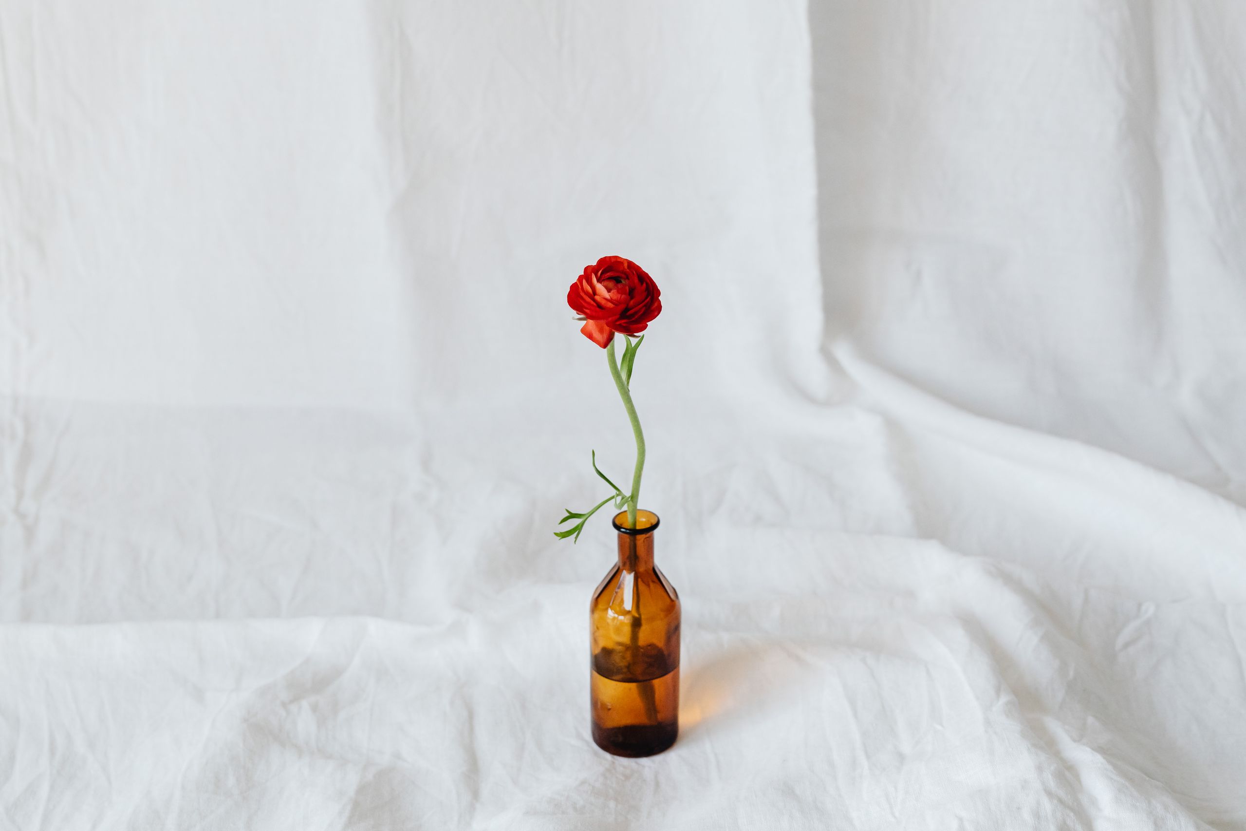 Vase with ferns and amber bottles