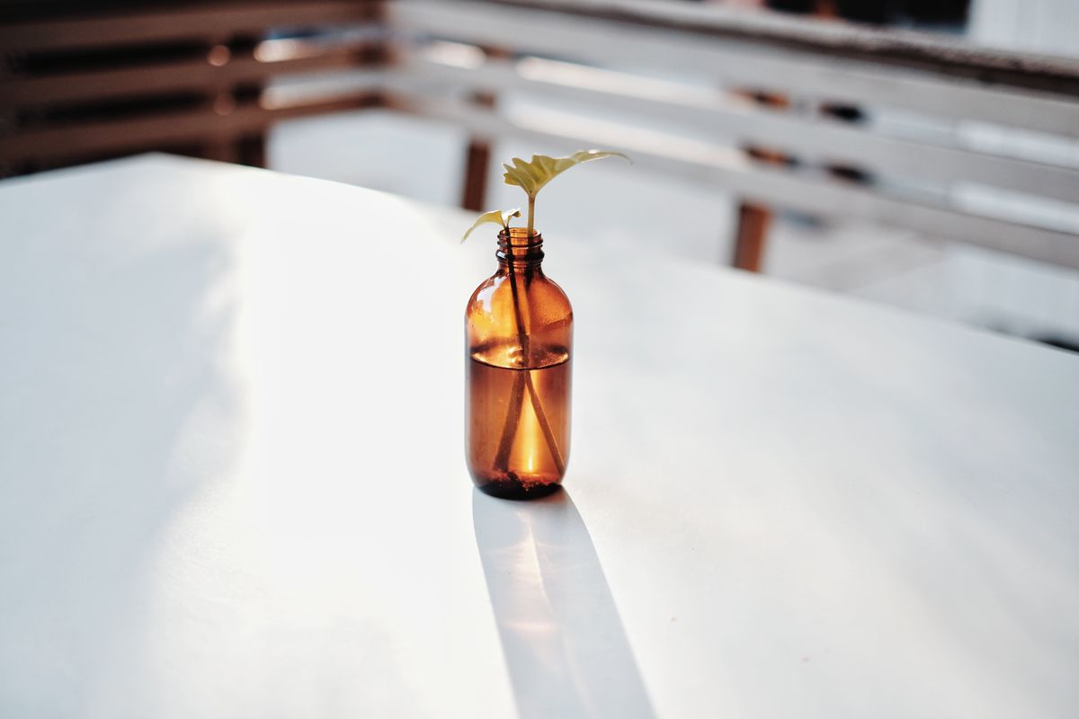 Vase with ferns and amber bottles